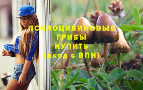 метадон Приозерск