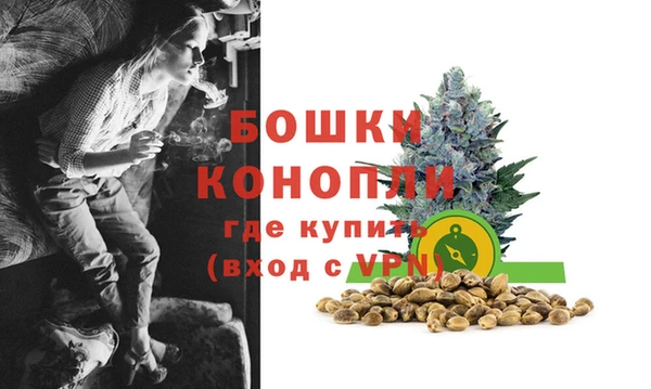 шишки Протвино