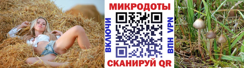 MEGA   Ядрин  Псилоцибиновые грибы ЛСД 